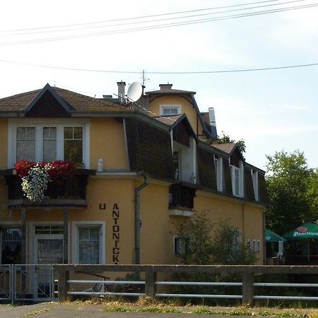 Penzion U Antonickova Pramene Marianske Lazne Exterior photo